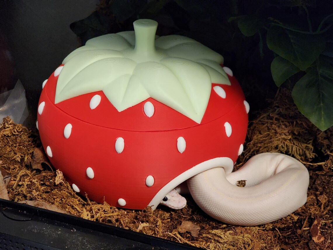 Strawberry hide