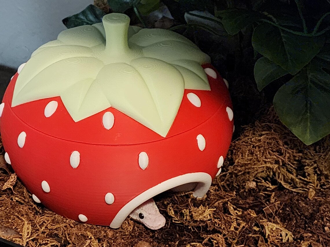 Strawberry hide