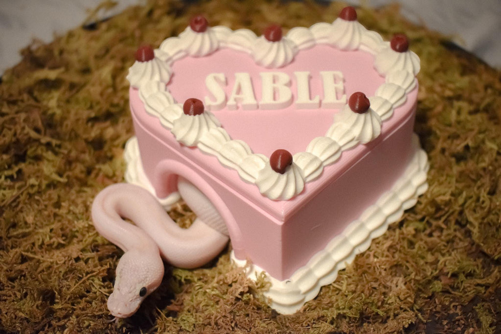 Birthday cake hide