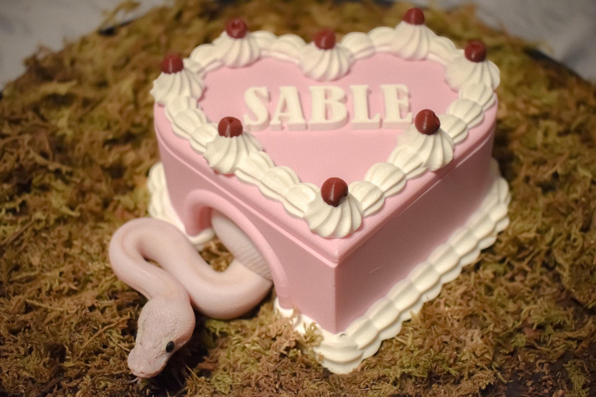 Birthday cake hide