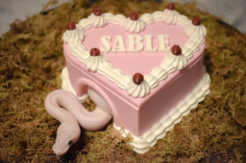 Birthday cake hide
