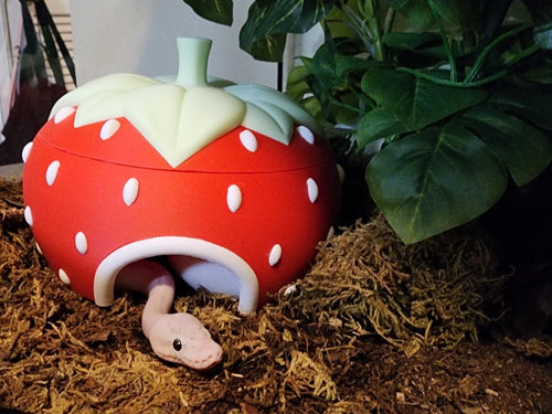Strawberry hide