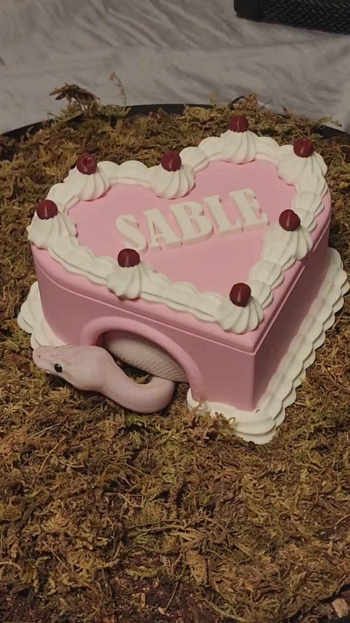 Birthday cake hide
