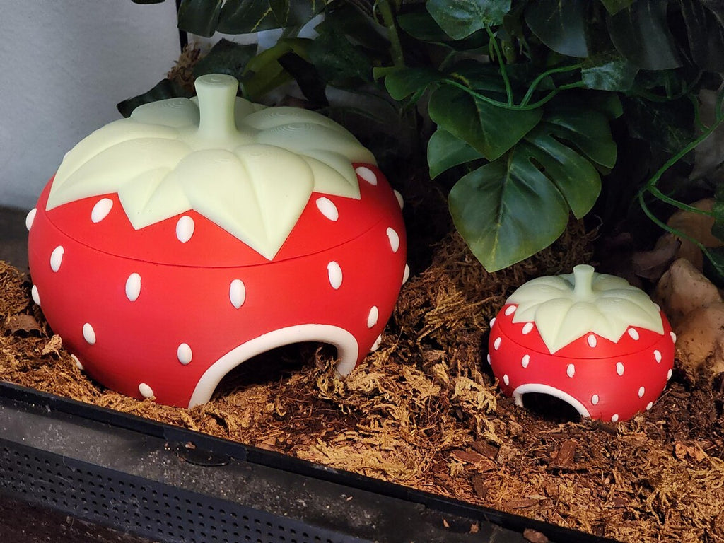 Strawberry hide