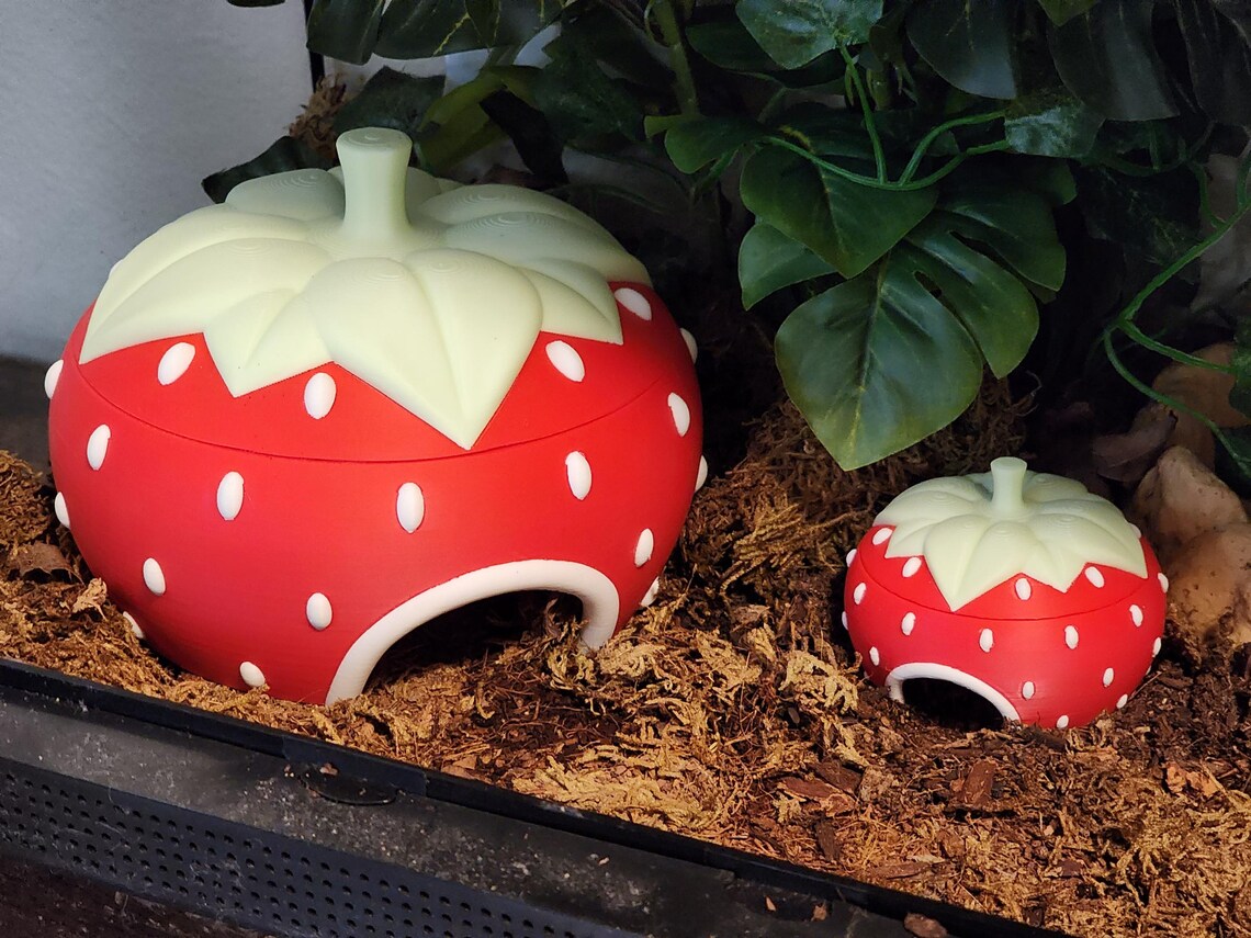 Strawberry hide